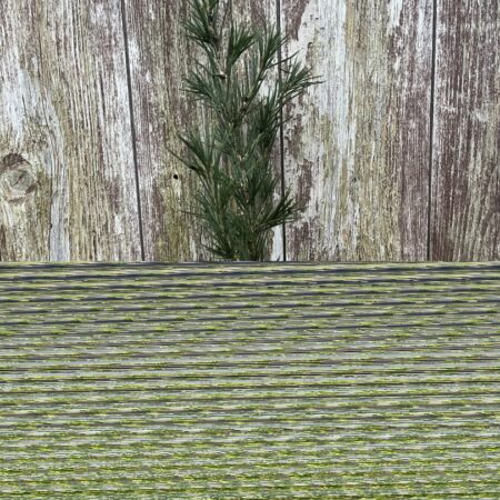 Cedar of Lebanon Tree 20/40cm (P9T)